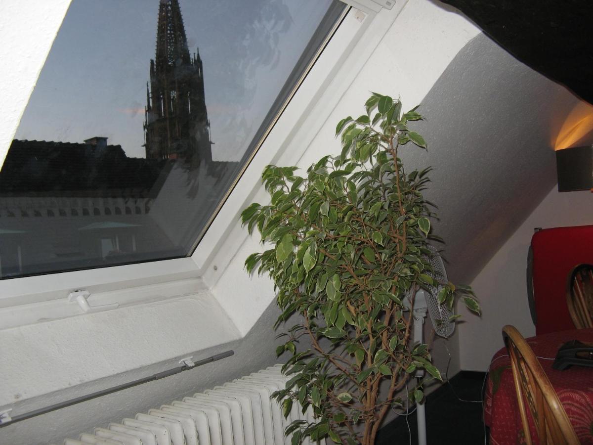 Gasthaus Loewen Freiburg im Breisgau Exteriér fotografie